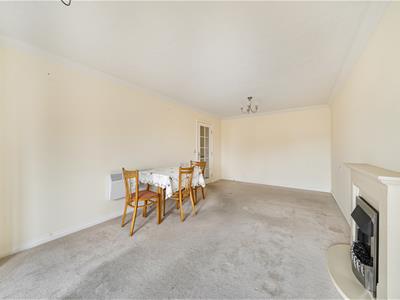 Picture 8